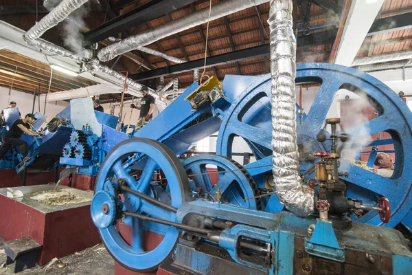 Worker Rum Factory Porto Cruz Coast East Madeira Island Madeira — Stock Photo, Image