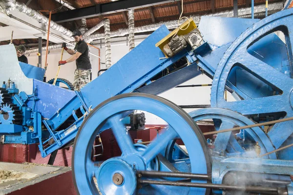 Worker Rum Factory Porto Cruz Coast East Madeira Island Madeira — Stock Photo, Image