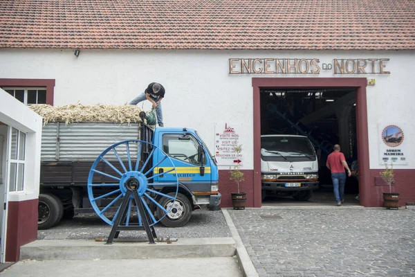 Usine Rhum Porto Cruz Sur Côte Est Madère Sur Île — Photo