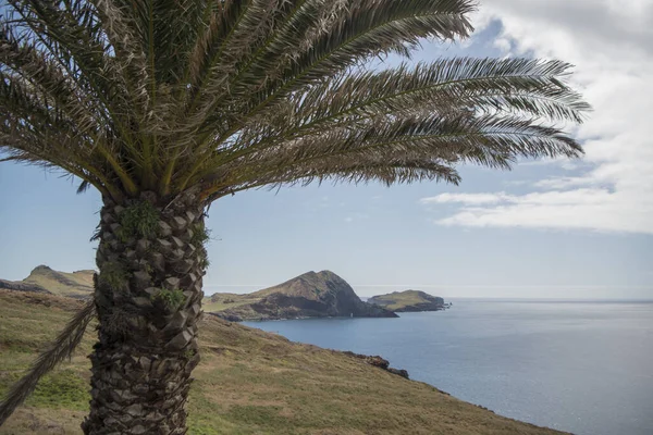 Het Landschap Van Ponta Sao Lourenco Bij Stad Canical Aan — Stockfoto