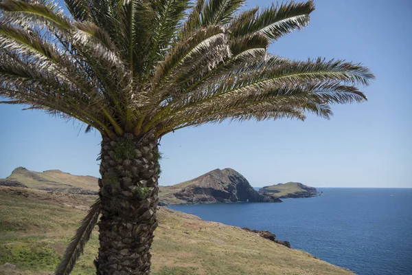 Portekiz Madeira Adası Nda Doğu Madeira Kıyısındaki Canical Kasabası Yakınlarındaki — Stok fotoğraf