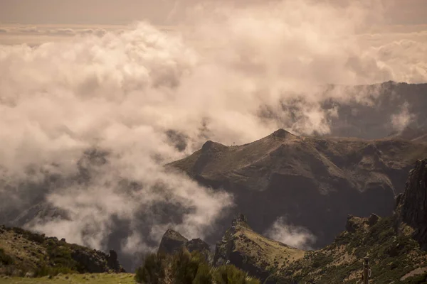 Landscape Mountains Madeira National Park Central Madeira Island Madeira Portugal — Stock Photo, Image