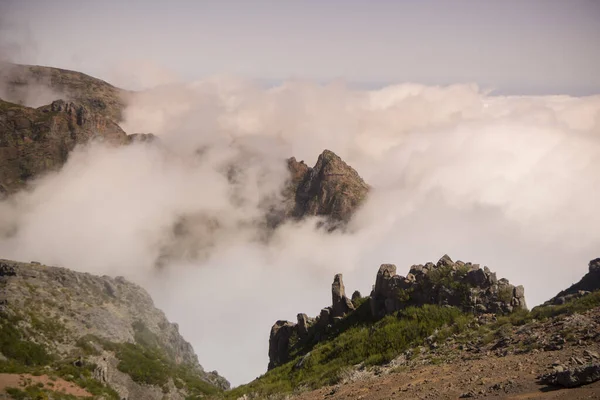 Landscape Mountains Madeira National Park Central Madeira Island Madeira Portugal — Stock Photo, Image