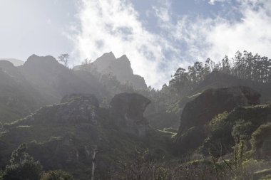 Portekiz 'in Atlantik Okyanusu' ndaki Madeira Adası 'ndaki Serra de Agua Vadisi' ndeki manzara. Madeira, Porto Moniz, Nisan 2018