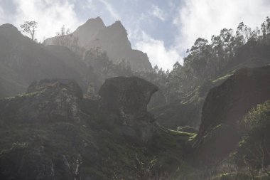 Portekiz 'in Atlantik Okyanusu' ndaki Madeira Adası 'ndaki Serra de Agua Vadisi' ndeki manzara. Madeira, Porto Moniz, Nisan 2018