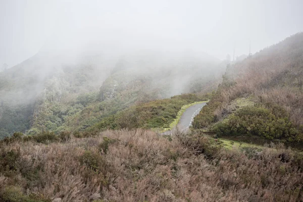 Bergsvägen Vid Ribeira Janelas Högland Madeira Portugals Atlanten Madeira Porto — Stockfoto