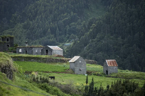 Ένα Χωριό Στην Κοιλάδα Serra Agua Στη Νήσο Μαδέρα Στον — Φωτογραφία Αρχείου