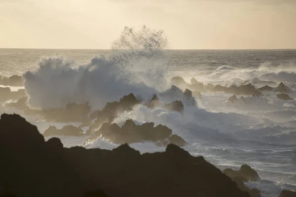 Hullámok Szél Napnyugtáig Tengerparton Város Porto Moniz Szigetén Madeira Atlanti — Stock Fotó