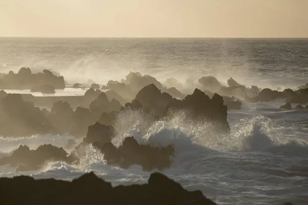 Vlny Vítr Západu Slunce Pobřeží Městě Porto Moniz Ostrově Madeira — Stock fotografie