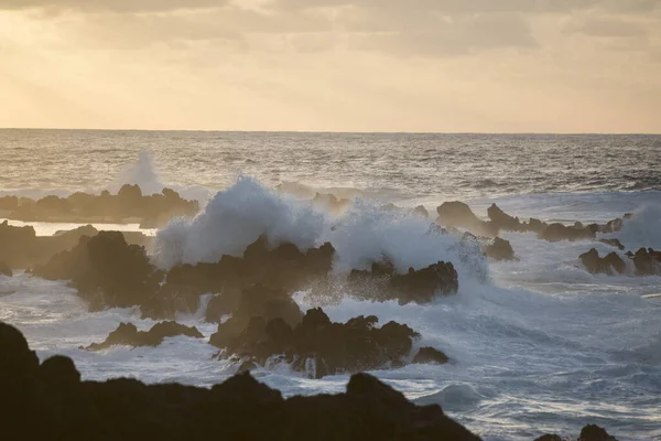 在葡萄牙大西洋马德拉岛的莫尼兹港 Porto Moniz 海浪和风在日落前吹拂着海岸 Madeira Porto Moniz April 2018 — 图库照片