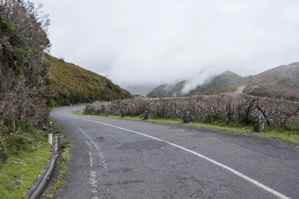 Mountain Road Highland Ribeira Janela Island Madeira Atlantic Ocean Portugal — Stock Photo, Image