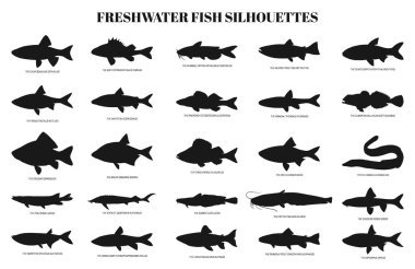 freshwater fishes silhouettes clipart