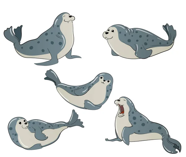 Серые пятнистые тюлени — стоковое фото