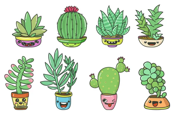 Succulents ensemble vectoriel — Image vectorielle