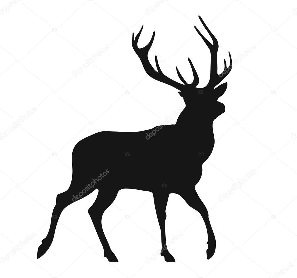 Simple black silhouette of the buck on the white background