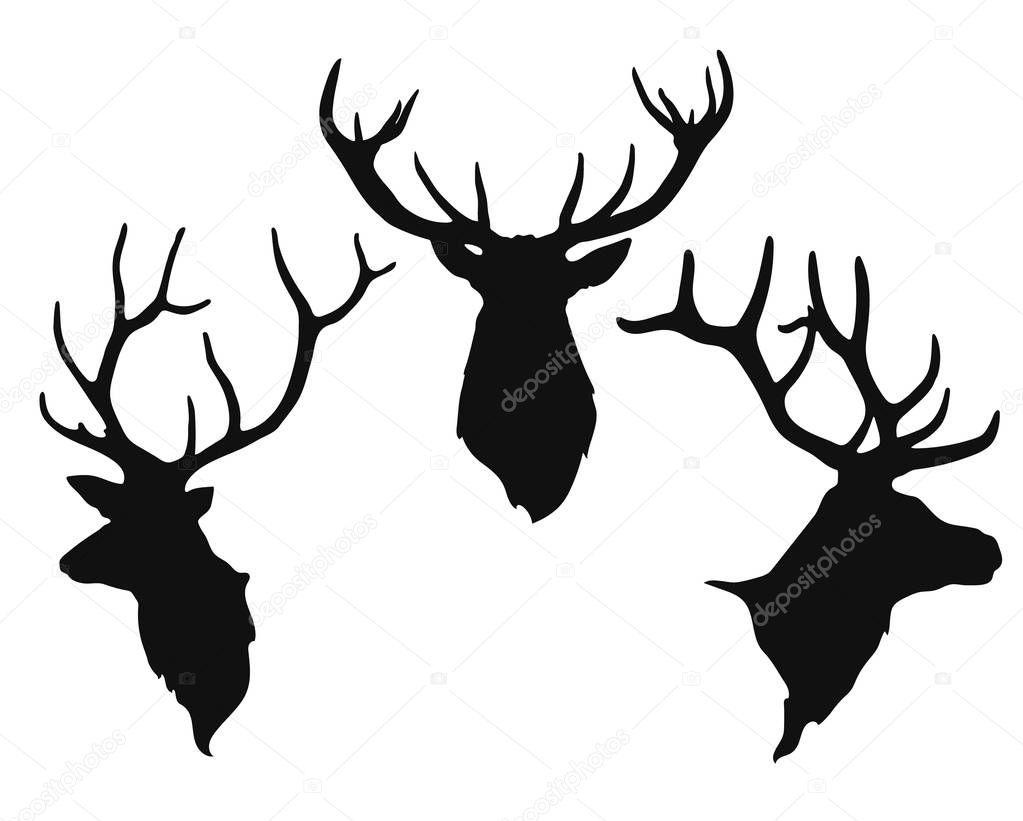 Simple black silhouettes of the buck's heads on the white background