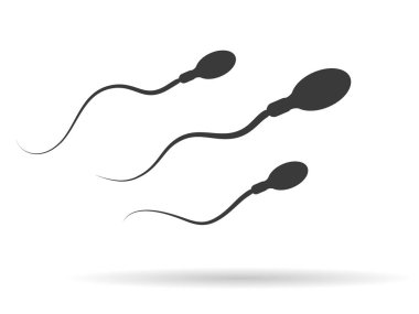 Spermatozoons vektör simgeler