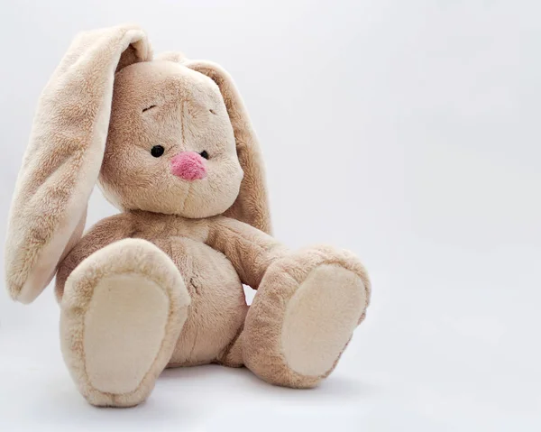 The soft toy bunny sits on a light background