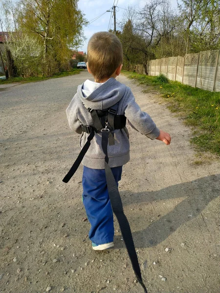 2 yaşında küçük bir çocuk tasmalı bir bebek yolda koşuyor.