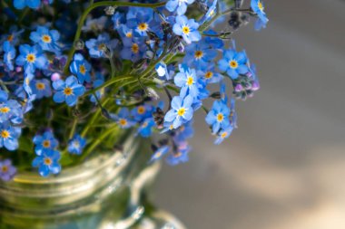 Odaklanmamış bir arka planda, cam bir fotoğrafta 