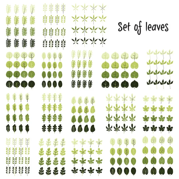 Una serie di foglie vettoriali. Illustrazione foglia cartone animato . — Vettoriale Stock