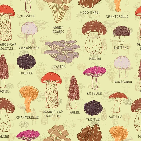 Vector seamless pattern of edible mushrooms for your design. — Stock Vector