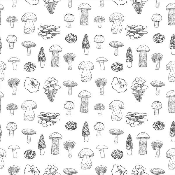 Vector seamless pattern of edible mushrooms for your design. — Stock Vector