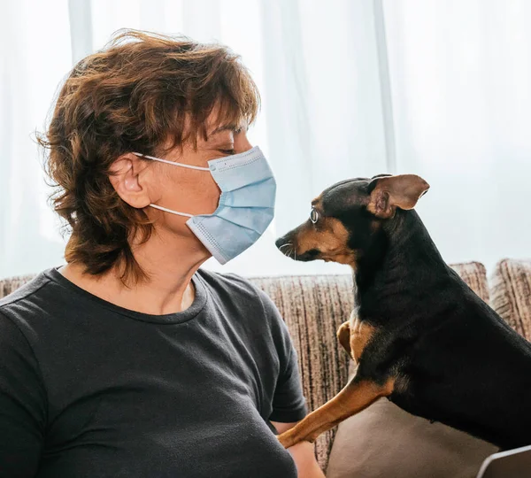 Coronavirus, covid-19 ya da başka bir hastalığa karşı maske takan bir kadın oturma odasında oturmuş şaşırmış köpeği onu kokluyor.