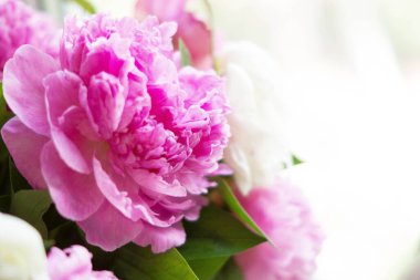 Nisan-Mayıs aylarında güzel kokulu bahar çiçekleri