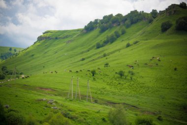 yeşil bahar dağları ve tepeler