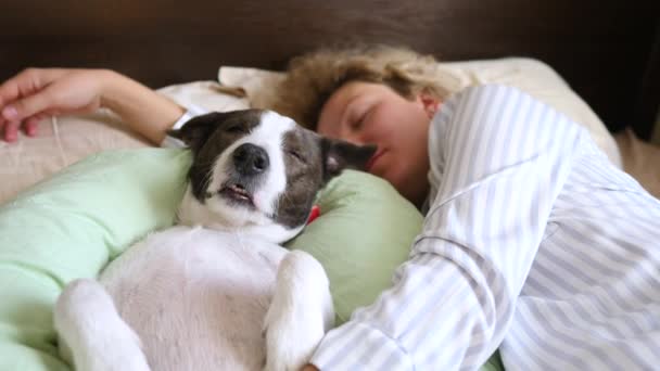 Joven mujer acostada y durmiendo con el perro en la cama . — Vídeo de stock