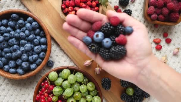 Weibliche Hand mit frischen Beeren für ein gesundes Leben. Antioxidative Supernahrung. — Stockvideo