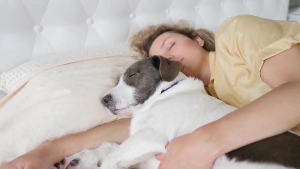 Mujer durmiendo con su perro en cama en almohada — Vídeo de stock