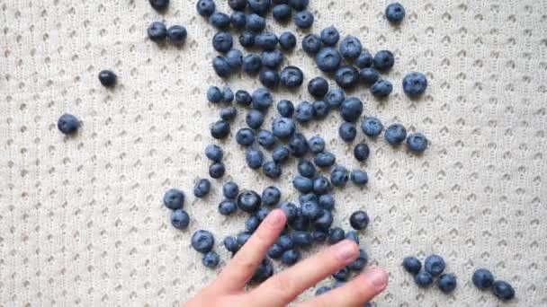 Frauenhände machen Herzform aus frischen Blaubeeren. — Stockvideo