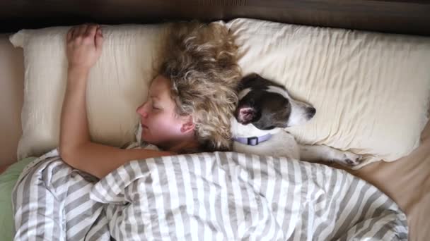 Fiatal nő alszik kutyával az ágyban párnákon háttal-háttal. — Stock videók