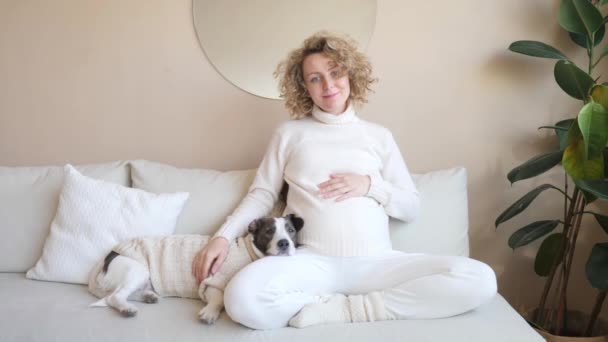 Menina grávida sentada no sofá com seu cão em casa . — Vídeo de Stock