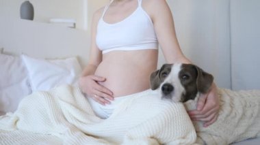 Hamile kız evde köpeğiyle yatakta dinleniyor..
