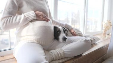 Hamile kadın köpeğiyle evde dinleniyor. Yakın çekim..
