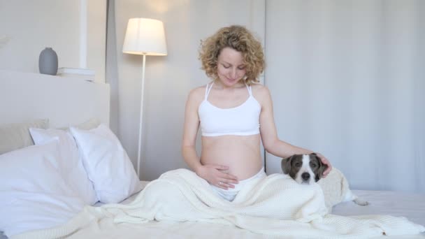 Feliz Conceito de Gravidez. Jovem mulher grávida na cama com seu cão . — Vídeo de Stock