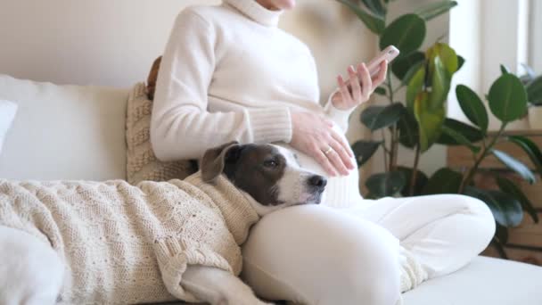 Sluiten van zwangere vrouw met behulp van Smartphone met haar hond in gezellige gebreide trui. — Stockvideo