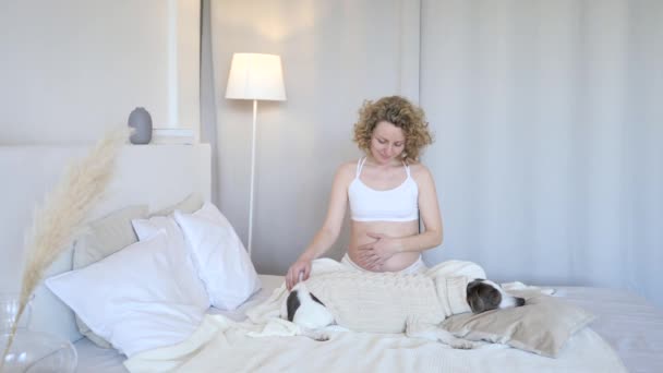 Glad gravid kvinna slappnar av i sängen med sin hund hemma — Stockvideo