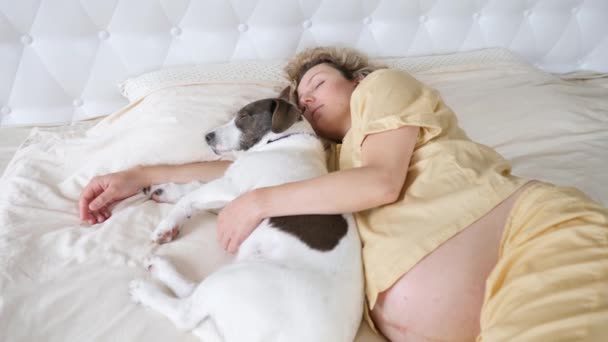 Mulher grávida descansando na cama com cão — Vídeo de Stock