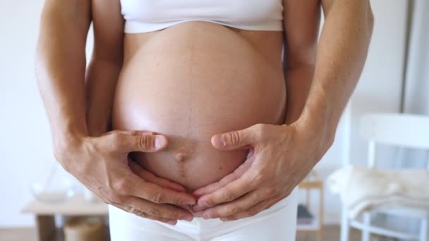 Gravid kvinna och hennes make kramas magen med händerna tillsammans. — Stockvideo