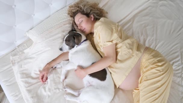 Giovane donna incinta che abbraccia il suo cane mentre dorme a letto . — Video Stock