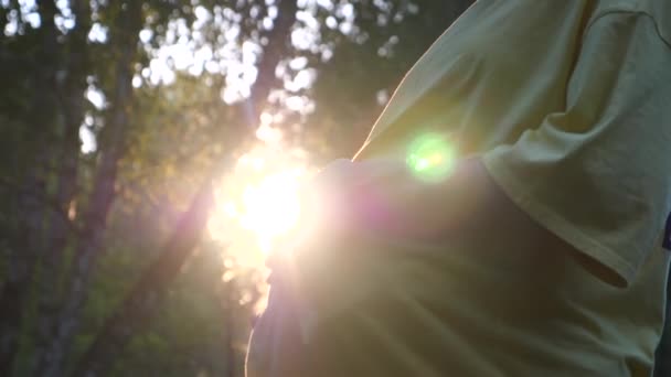 Close Up de barriga grávida na natureza ao pôr do sol — Vídeo de Stock