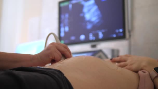 Échographie pendant la grossesse. Gros plan de ventre enceinte . — Video