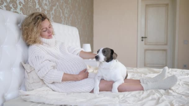 Молодая беременная женщина лежит на кровати со своей собакой . — стоковое видео