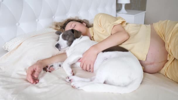 Embarazada mujer durmiendo en cama con su perro mascota — Vídeo de stock