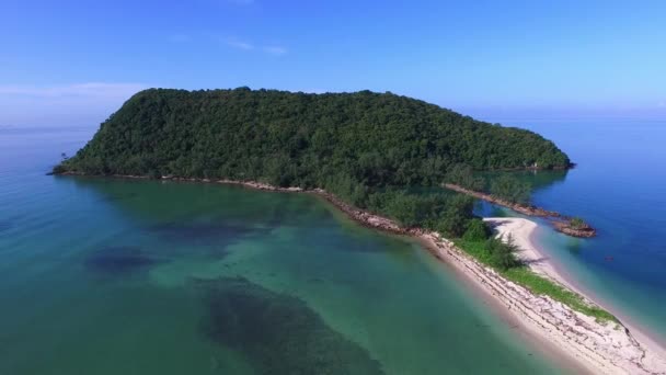 Widok z lotu ptaka na zieloną wyspę na morzu — Wideo stockowe