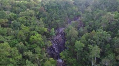 Yeşil Orman 'da Dağ Nehri ve Şelale